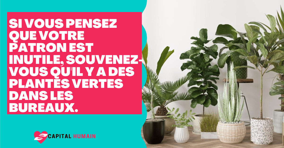 prendre du plaisir au travail